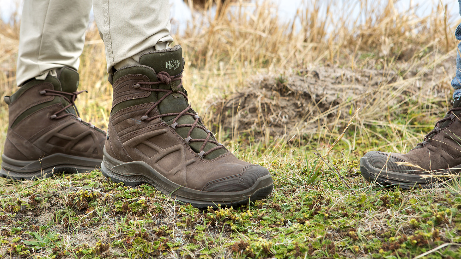 340026_black-eagle-nature-mid-ws